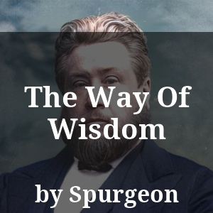 The Way Of Wisdom