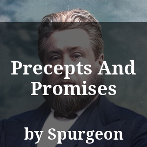 Precepts And Promises