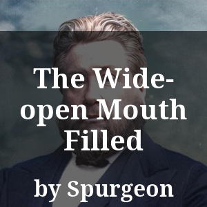 The Wide-open Mouth Filled