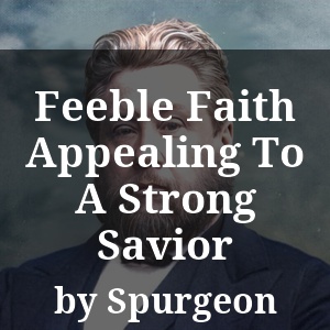 Feeble Faith Appealing To A Strong Savior