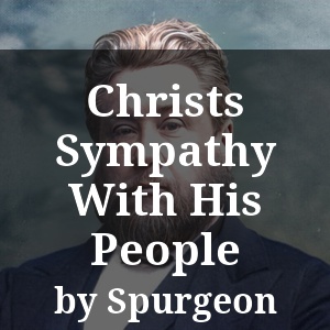 Christs Sympathy With His People