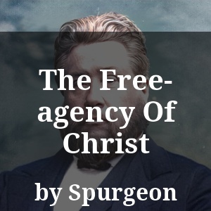 The Free-agency Of Christ