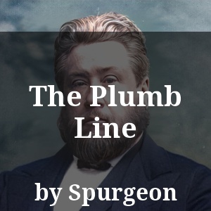 The Plumb Line