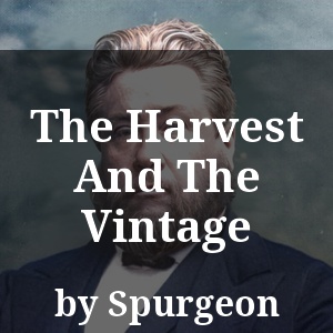 The Harvest And The Vintage