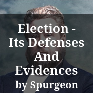 Election - Its Defenses And Evidences