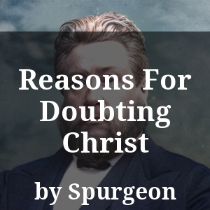 Reasons For Doubting Christ