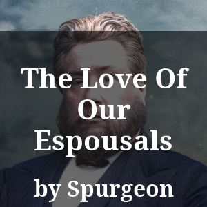 The Love Of Our Espousals