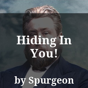 Hiding In You!