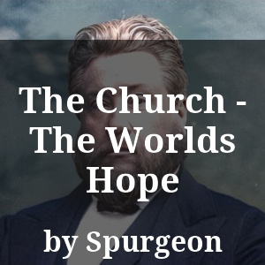 The Church - The Worlds Hope