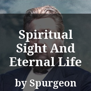 Spiritual Sight And Eternal Life