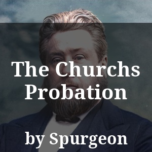 The Churchs Probation