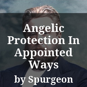 Angelic Protection In Appointed Ways