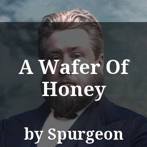 A Wafer Of Honey