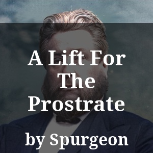 A Lift For The Prostrate