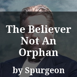 The Believer Not An Orphan