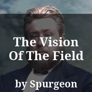 The Vision Of The Field