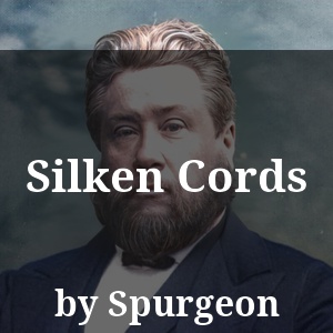 Silken Cords