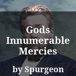 Gods Innumerable Mercies