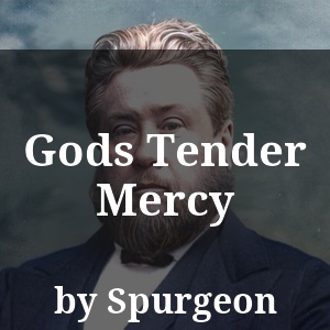 Gods Tender Mercy