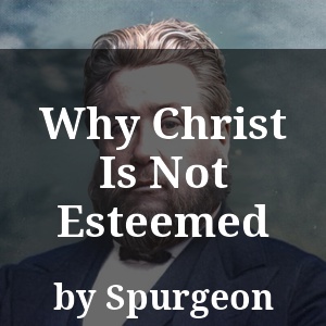 Why Christ Is Not Esteemed