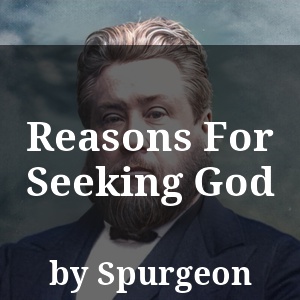 Reasons For Seeking God