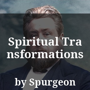 Spiritual Transformations