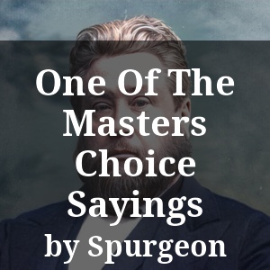 One Of The Masters Choice Sayings