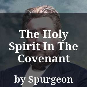 The Holy Spirit In The Covenant