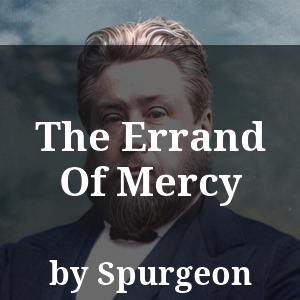 The Errand Of Mercy