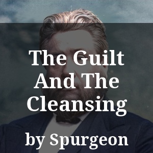 The Guilt And The Cleansing