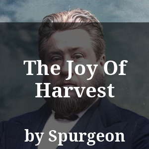 The Joy Of Harvest