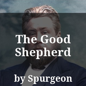 The Good Shepherd