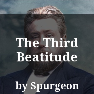 The Third Beatitude