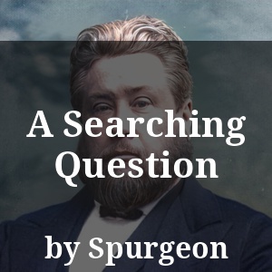 A Searching Question