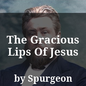 The Gracious Lips Of Jesus