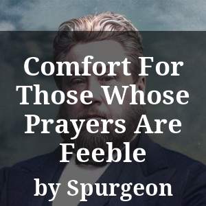 Comfort For Those Whose Prayers Are Feeble