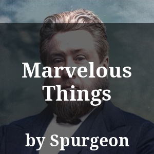 Marvelous Things