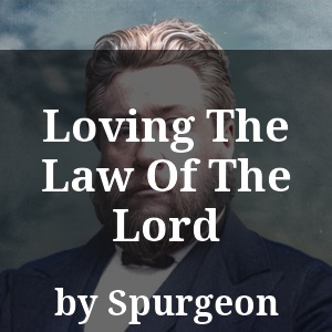 Loving The Law Of The Lord