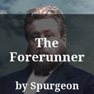 The Forerunner