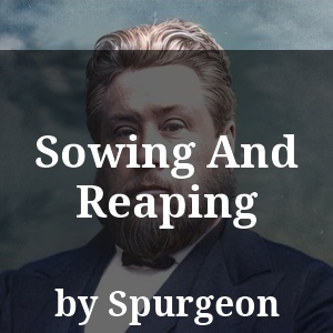 Sowing And Reaping