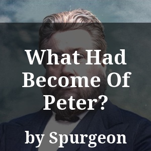 What Had Become Of Peter?