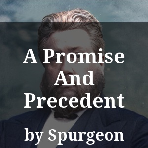 A Promise And Precedent