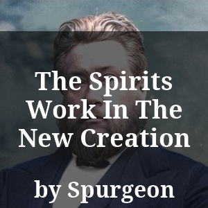 The Spirits Work In The New Creation