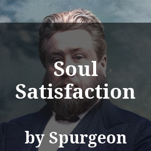 Soul Satisfaction