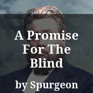 A Promise For The Blind