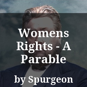 Womens Rights - A Parable