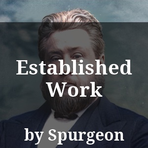 Established Work