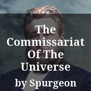 The Commissariat Of The Universe