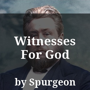 Witnesses For God