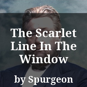 The Scarlet Line In The Window